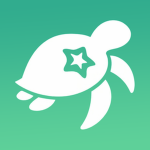 Turtles Interactive
