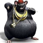 THE RAT BOYS