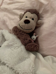 ୨ noemis monkeys ୧