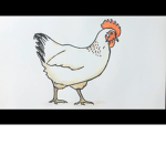 The Epic Chickens!!