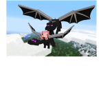 DrRobloxian Fan Group!