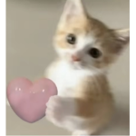 Audri’s Kawaii Group
