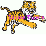Kansas Tigers