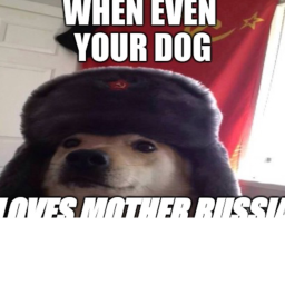 Fight to the death