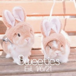 ｡ sweeties ｡