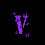 exvinity clothing