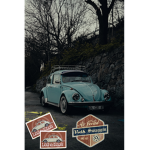 Volkswagen fans
