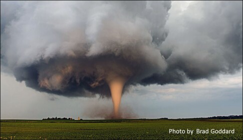 Survive tornado