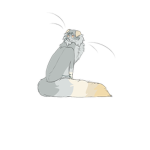 Paranormal_ oddity