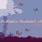 Aesthetic Animals! <3