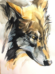 wolf rainbow