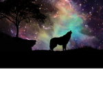 Lonley wolfs