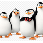 Penguins And Humans NO LION OK?