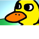 The squad of ducks who duck