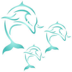 Dolphin Studio's!