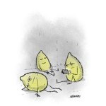 Da Lazy Lemons XD