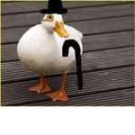 The tasteless ducks