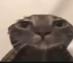 fggnjifgbkjnfgbkjbfg