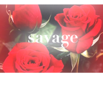 Chat With Me And Friends!