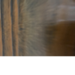 Predio vr