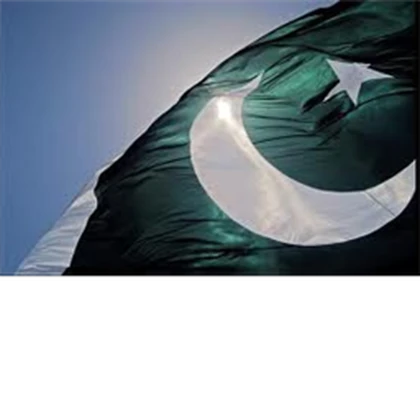 Pakistan Military Roblox group icon