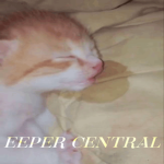 eepers central