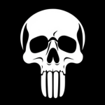 Rogue Marauders