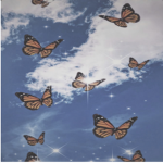Butterfly Rescue