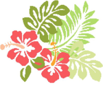 Hawaiian Gamer-Squad