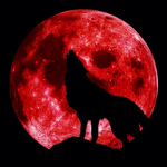 blood wolf!!!