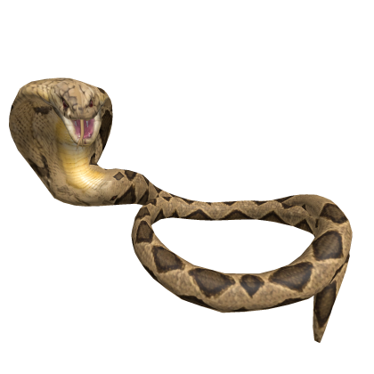Rattlesnake wrapped around neck Roblox item