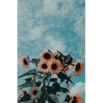 Aᴇsᴛʜᴇᴛɪᴄ ᴛʜɪɴɢᴢ