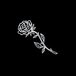 Aesthetic Music For Your Ears~