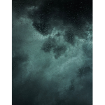 PuddlesInTheRain