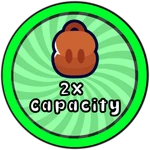 2x Capacity