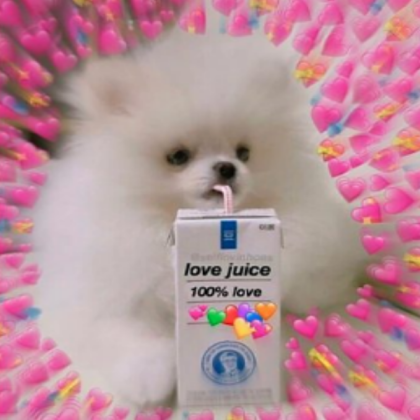 wholesome dog Roblox decal