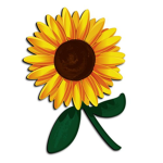 JustSunFlowers