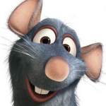 _Rat Colony_