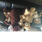 TEDDY Security TEAM
