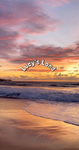 Lucy’s Land!