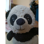 Panda creaw