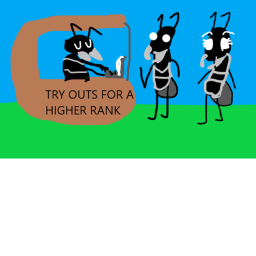 Try outs for a Higher Rank