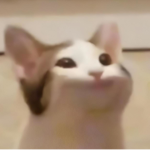 NotIan