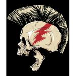 Punks Of America