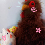 Beaks & Feathers