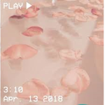 rose haus