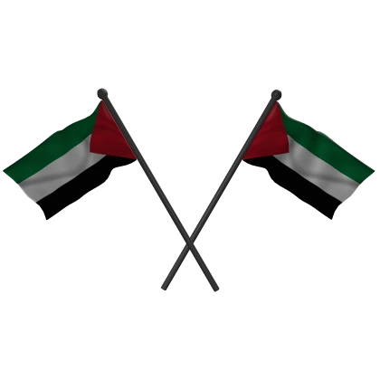 Palestine Dual Back Flags | Roblox Item - Rolimon's