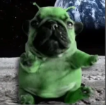 #TRIBBLE
