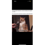Carer
