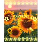Emersyn’s sunflowers